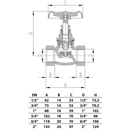 Invena Clapet Fileté En Acier Inoxydable De 1" Pouce 2 Invena Clapet Fileté En Acier Inoxydable De 1" Pouce – Image 2